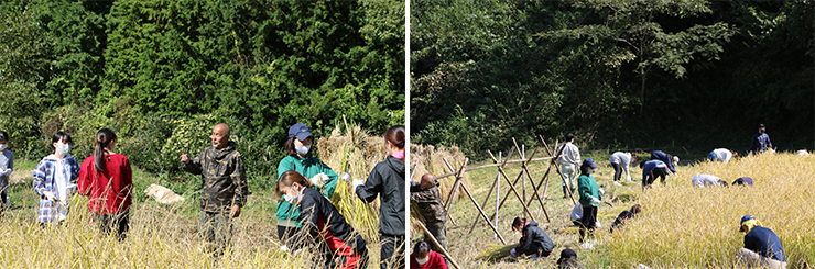 サービスラーニング報告