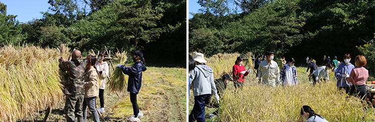 サービスラーニング報告