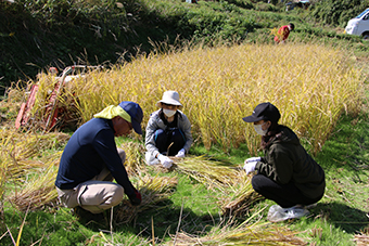 サービスラーニング報告
